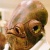 :iconalex-el-loco: