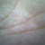 :iconalex-negromonte: