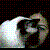 :iconalex-olmeda: