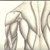 :iconalex1422427: