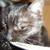 Alex4529 :iconalex4529: