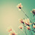 :iconalex4o0o92: