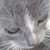 :iconalex9903:
