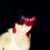:iconalexa-d-skellington: