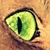 :iconalexa1501: