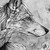 :iconalexander-landerman: