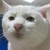 :iconalexanderbay: