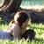 :iconalexandrasunshine:
