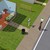 :iconalexandt: