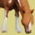 :iconalexap12: