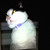 :iconalexaviergrace:
