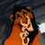 :iconalexaxiii: