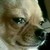 AlexaXVMichaelis :iconalexaxvmichaelis: