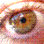 :iconalexbichi: