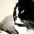 :iconalexeli81: