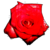 :iconalexir563: