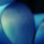:iconalexithymiaphotos: