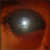 :iconAlexiTrebornova: