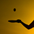:iconalexkapi: