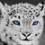:iconalexpozo: