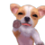 :iconalexsander306: