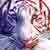:iconalexsascha369:
