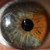 :iconalexw-art:
