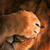 :iconalexxe07: