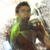 :iconalfamh: