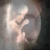:iconalfiererosso: