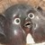 :iconalfonso312: