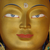 :iconalfred-walace: