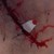 :iconalfrek: