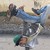 :iconalgerianob: