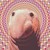 :iconalgonquian: