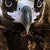 :iconalgoreth: