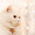 :iconalhana1: