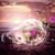 :iconalhdwani: