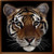 :iconalibgood: