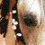 :iconalibigraphix: