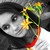 :iconalicat514: