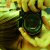 :iconalicax: