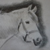 :iconalice-etc: