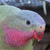 :iconalice-louise: