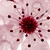 :iconalice-luver22: