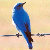 :iconalice25: