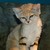 :iconalicefalls1216: