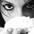 :iconalicehellsing: