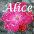 :iconaliceinlostworld: