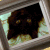 :iconalicelights: